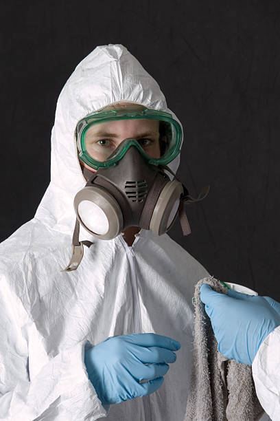 Biohazard Mold Removal in Lake Catherine, IL